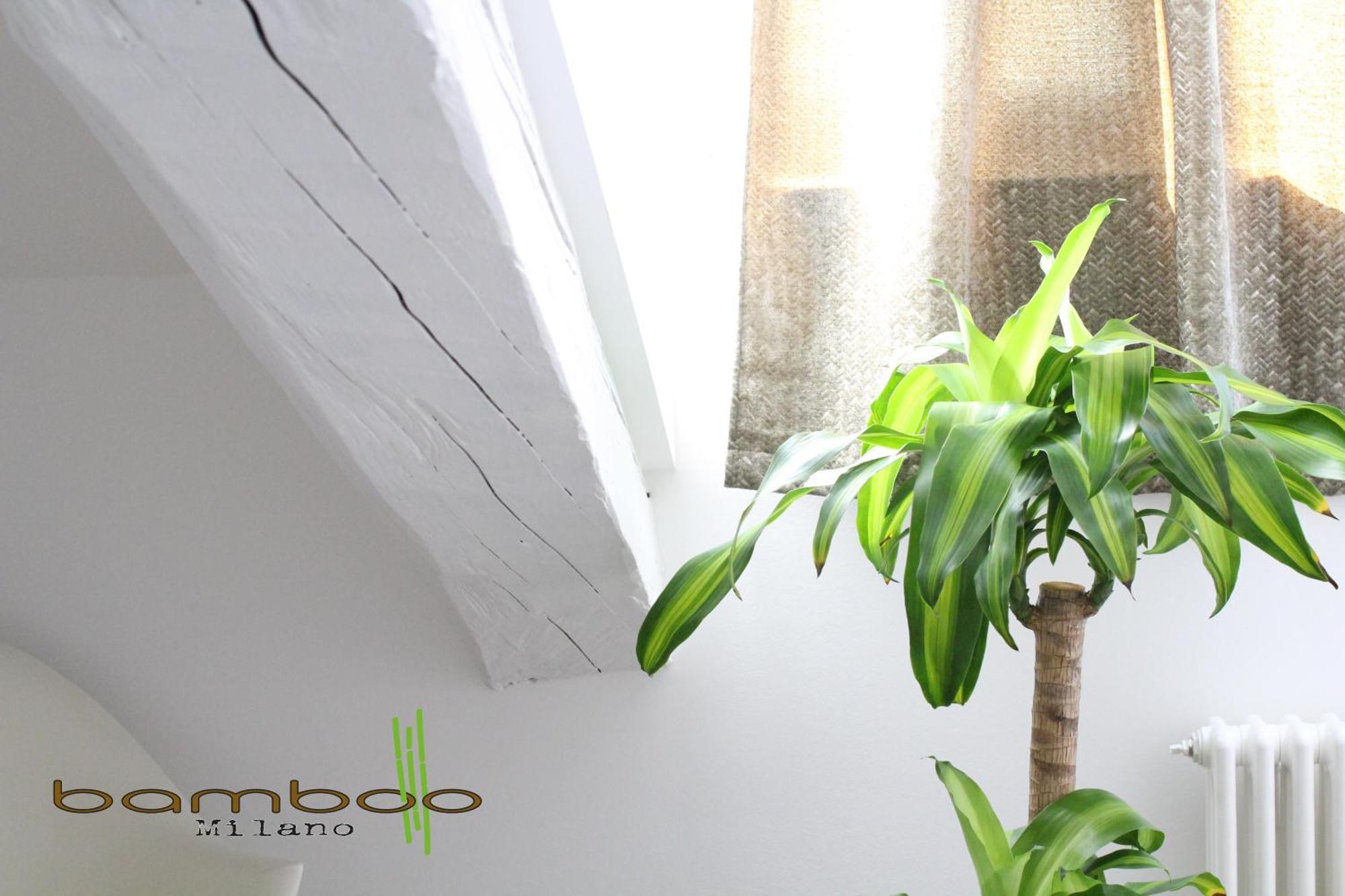 Appartamento Bamboo Milano Isonzo Esterno foto